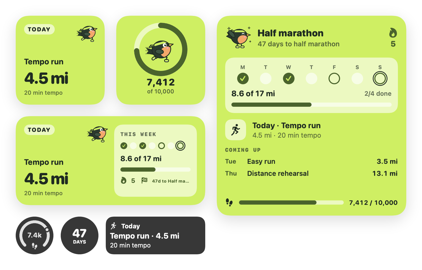 BirdRunner widgets: next session, steps, the training week with a race countdown, and Lock Screen widgets
